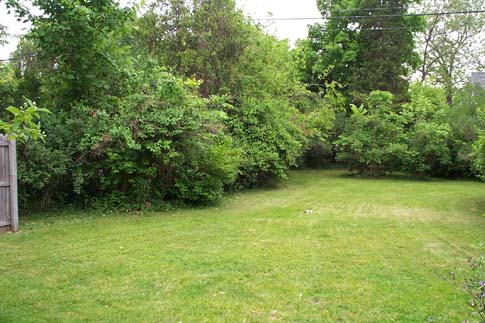 803 bk yard.jpg (42730 bytes)