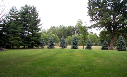 back_yard.jpg (68632 bytes)